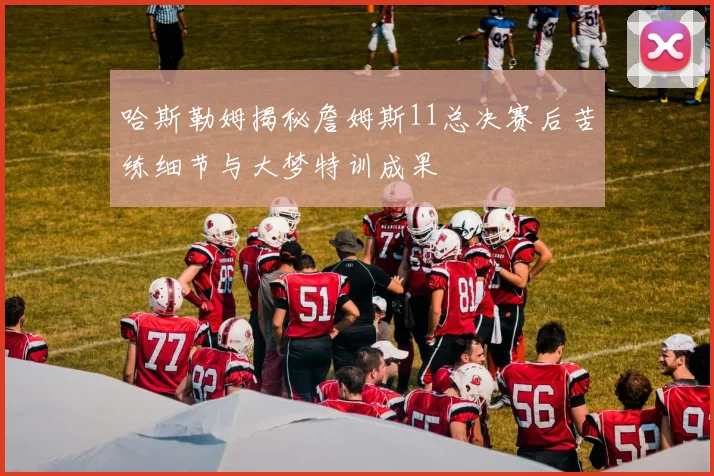 哈斯勒姆揭秘詹姆斯11总决赛后苦练细节与大梦特训成果