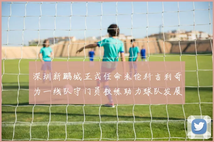 深圳新鹏城正式任命米伦科吉利奇为一线队守门员教练助力球队发展